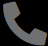 Phone Icon